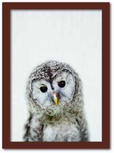 Animal Children series Owl フクロウ CB 1003BR フレームカラー：ブラウン サイズ：A4 kar-8238779s3  アートパネル アートボード 壁紙 