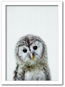 Animal Children series Owl フクロウ CB 2003WH フレームカラー：ホワイト サイズ：A3 kar-8238779s6  アートパネル アートボード 壁紙 