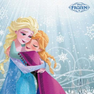 アナと雪の女王 ディズニー Mサイズ 30cm×30cm アートパネル ファブリックパネル アートボード インテリアパネル 壁掛け 日本製 ラッピ