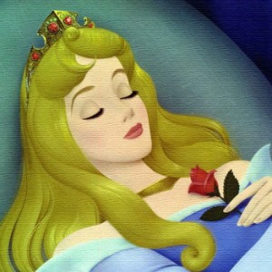 眠れる森の美女 オーロラ姫 マレフィセント ディズニープリンセス Disney Mサイズ 30cm×30cm アートパネル ファブリックパネル アートボ