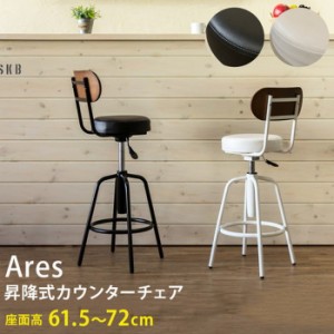 昇降式 カウンターチェア Ares ブラック ホワイト 保証付 sk-utk01  カウンターチェア イス チェア 送料無料 北欧 モダン 家具 インテリ