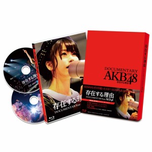 AKB48／存在する理由 DOCUMENTARY of AKB48 スペシャル・エディション 【DVD】