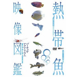 熱帯魚映像図鑑 バーチャル・アクアリウム 映像と音で愉しむ美しき熱帯魚の世界 【DVD】