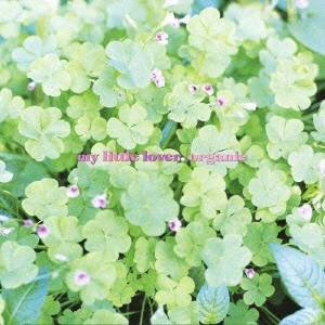 My Little Lover／organic 【CD】