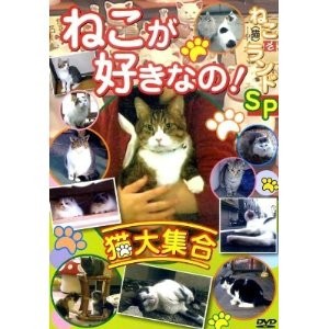 ねこ(猫) ざ ランドSP ねこが好きなの！猫大集合  【DVD】