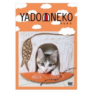 YADONEKO-やどネコ- 【DVD】