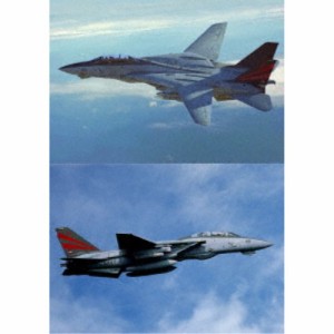 F-14A トムキャット ファイナル 【DVD】