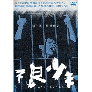 不良少年 【DVD】