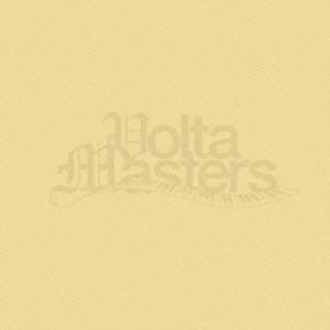 VOLTA MASTERS／Lovers 【CD】