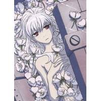 DARKER THAN BLACK -流星の双子- 4 【DVD】