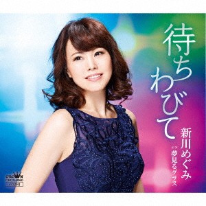 新川めぐみ／待ちわびて 【CD】