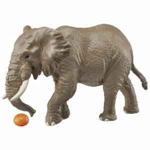アニア AS-02 アフリカゾウ(オレンジ付き)おもちゃ こども 子供 男の子 3歳