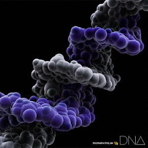 MONKEY MAJIK／DNA 【CD+Blu-ray】