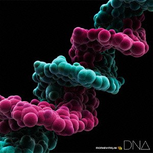 MONKEY MAJIK／DNA 【CD】