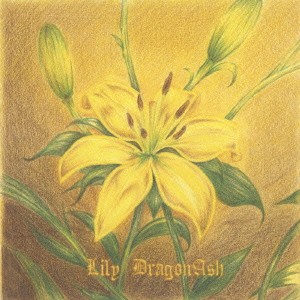 Dragon Ash／Lily 【CD】