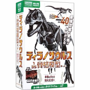 ティラノサウルス骨格模型＆ポスターおもちゃ 雑貨 バラエティ