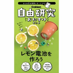 自由研究おたすけキット レモン電池を調べようおもちゃ 雑貨 バラエティ