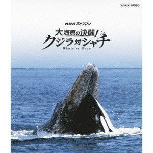 NHKスペシャル 大海原の決闘！ クジラ対シャチ 【Blu-ray】
