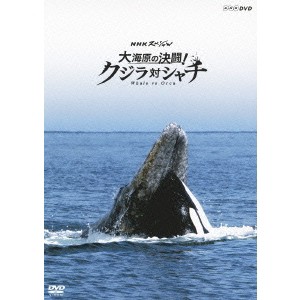 NHKスペシャル 大海原の決闘！ クジラ対シャチ 【DVD】