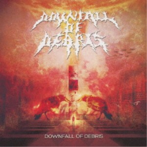 DOWNFALL OF DEBRIS／DOWNFALL OF DEBRIS 【CD】