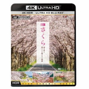 4K さくら HDR 春を彩る 華やかな桜のある風景 UltraHD《UHDBD ※専用プレーヤーが必要です》 【Blu-ray】