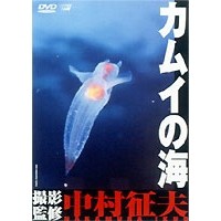 カムイの海 【DVD】
