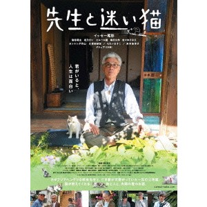 先生と迷い猫《通常版》 【DVD】