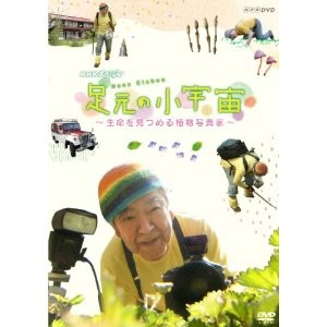 NHKスペシャル 足元の小宇宙 〜生命を見つめる植物写真家〜 【DVD】