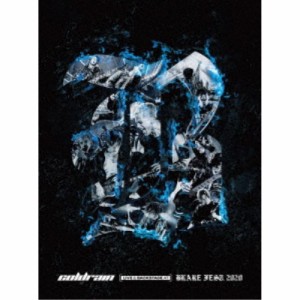 coldrain／coldrain - LIVE ＆ BACKSTAGE AT BLARE FEST.2020《通常盤》 【Blu-ray】