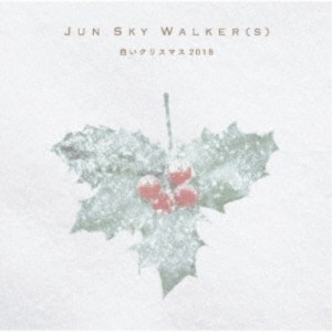 JUN SKY WALKER(S)／白いクリスマス 2018 【CD+DVD】