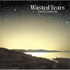 浜田省吾／WASTED TEARS 【CD】