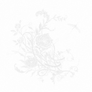 Aimer／白色蜉蝣《通常盤》 【CD】