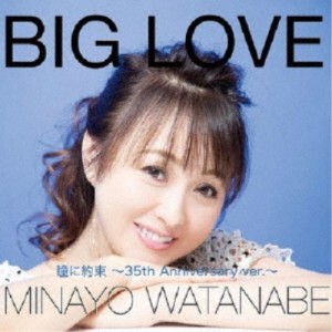 渡辺美奈代／BIG LOVE 【CD】