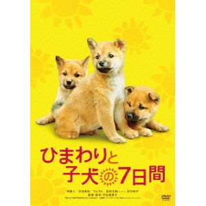 ひまわりと子犬の7日間 【DVD】