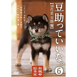 和風総本家 豆助っていいな。6 【DVD】