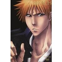 BLEACH ［新隊長天貝繍助篇1］ 【DVD】