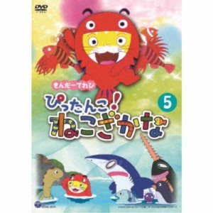 きんだーてれび ぴったんこ！ねこざかな 5 【DVD】