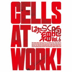 はたらく細胞 Vol.6《完全生産限定版》 (初回限定) 【DVD】