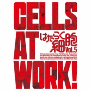 はたらく細胞 Vol.5《完全生産限定版》 (初回限定) 【DVD】