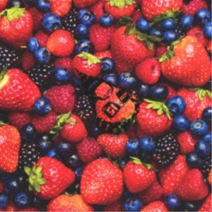 髭(HiGE)／STRAWBERRY TIMES (Berry Best of HiGE)《通常盤／Standard Edition》 【CD】