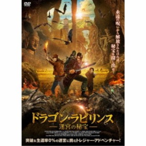 ドラゴン・ラビリンス 迷宮の秘宝 【DVD】