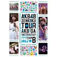 AKB48「AKBがやって来た！！」 TEAM B 【DVD】