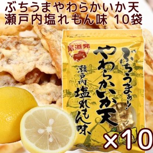 ぶちうま やわらか いか天 １０袋セット(１袋４５ｇ) 瀬戸内塩レモン味 広島尾道名産 送料無料 おつまみ 砂田食品