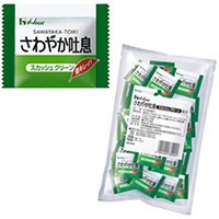 【ハウス食品】 さわやか吐息(スカッシュグリーンミニ) 100袋入 常温 5セット