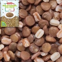 【カゴメ】 レンティッキエと大麦小麦のミックス 1KG 冷凍