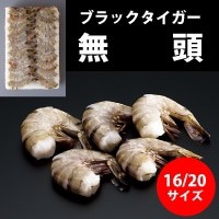  無頭ブラックタイガー 16/20 1.8KG 冷凍 5セット