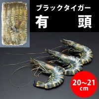  有頭ブラックタイガー 25尾 エビ 1.3KG 冷凍 5セット