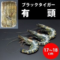  有頭ブラックタイガー 40尾 1.3KG 冷凍 5セット