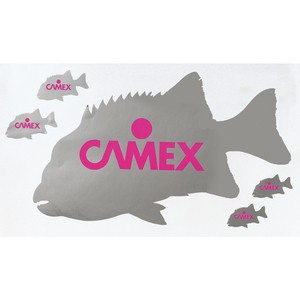 CAMEX  石鯛ステッカー  