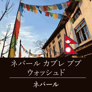 ネパール カブレ ププ ウォッシュド ニシナ屋 珈琲 焙煎 コーヒー 豆 100g